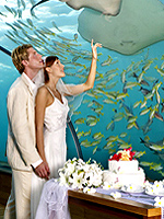 Maldives Weddings