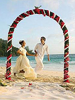 Seychelles Weddings